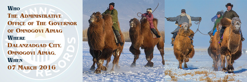 mongolia camel race world records 